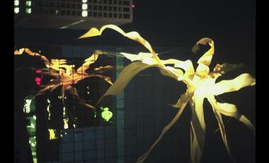 8.New Reflections.1